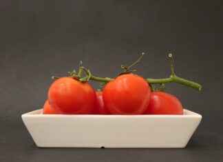 Adım Adım Dönüşüm: Bisikletinizi Elektrikli Hale Getirmek Adım Adım Dönüşüm: Bisikletinizi Elektrikli Hale Getirmek