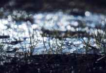 Başlangıç Seviyesi İçin Uygun Elektrikli Bisiklet Modelleri Başlangıç Seviyesi İçin Uygun Elektrikli Bisiklet Modelleri