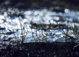 Başlangıç Seviyesi İçin Uygun Elektrikli Bisiklet Modelleri Başlangıç Seviyesi İçin Uygun Elektrikli Bisiklet Modelleri