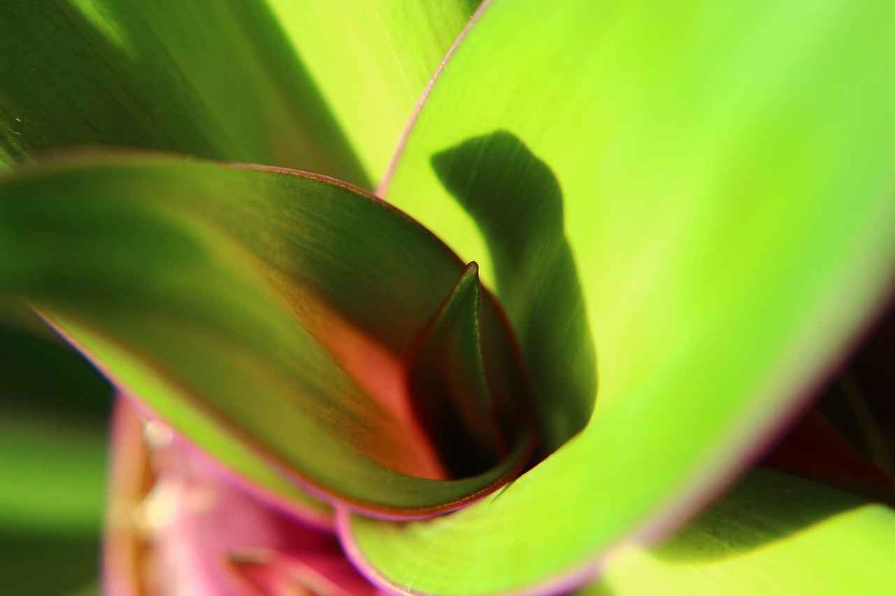 Batarya Kapasitesi Nedir?