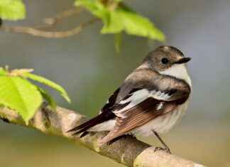 Bisikletinizi Korumak İçin Akıllı Kilit Sistemleri: Hırsızlık Riskini Azaltın Bisikletinizi Korumak İçin Akıllı Kilit Sistemleri: Hırsızlık Riskini Azaltın