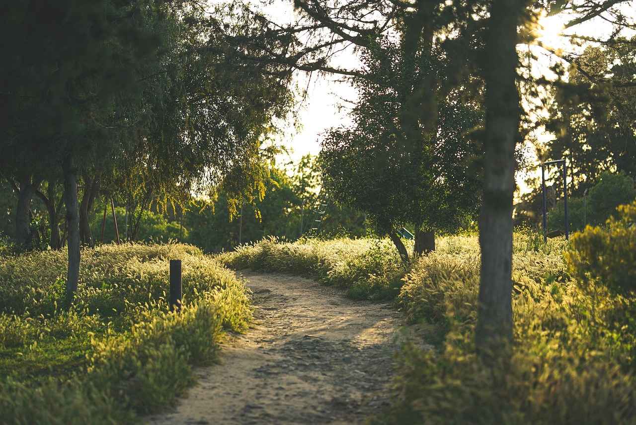 Akıllı Kilitlerin Avantajları