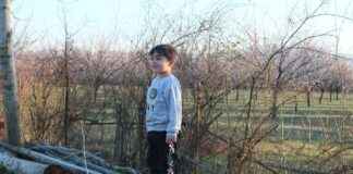 Bisikletle Güvenli Çocuk Taşıma: Koltuklar ve Römorklar Bisikletle Güvenli Çocuk Taşıma: Koltuklar ve Römorklar