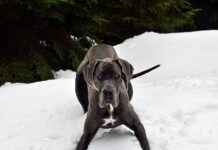 Çalışma Alanında Elektrikli Bisiklet Kullanımı: Etkili ve Sağlıklı Çalışma Alanında Elektrikli Bisiklet Kullanımı: Etkili ve Sağlıklı