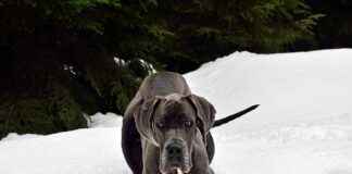 Çalışma Alanında Elektrikli Bisiklet Kullanımı: Etkili ve Sağlıklı Çalışma Alanında Elektrikli Bisiklet Kullanımı: Etkili ve Sağlıklı