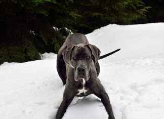 Çalışma Alanında Elektrikli Bisiklet Kullanımı: Etkili ve Sağlıklı Çalışma Alanında Elektrikli Bisiklet Kullanımı: Etkili ve Sağlıklı