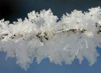 Çok Mu Harcıyorsunuz? Elektrikli Bisikletinizin Menzilini ve Ücretini Optimize Edin Çok Mu Harcıyorsunuz? Elektrikli Bisikletinizin Menzilini ve Ücretini Optimize Edin