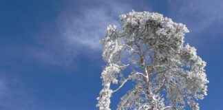 Doğru Elektrikli Bisiklet Seçimi: Kendi İhtiyaçlarınızı Nasıl Belirlersiniz? Doğru Elektrikli Bisiklet Seçimi: Kendi İhtiyaçlarınızı Nasıl Belirlersiniz?