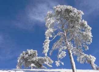 Doğru Elektrikli Bisiklet Seçimi: Kendi İhtiyaçlarınızı Nasıl Belirlersiniz? Doğru Elektrikli Bisiklet Seçimi: Kendi İhtiyaçlarınızı Nasıl Belirlersiniz?