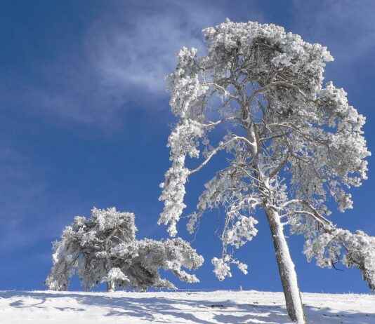 Doğru Elektrikli Bisiklet Seçimi: Kendi İhtiyaçlarınızı Nasıl Belirlersiniz? Doğru Elektrikli Bisiklet Seçimi: Kendi İhtiyaçlarınızı Nasıl Belirlersiniz?