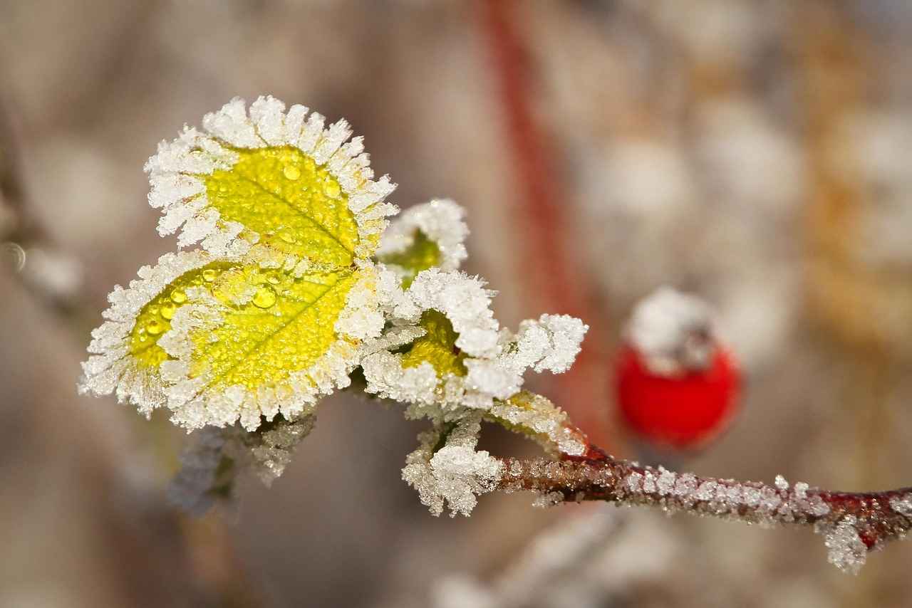 Elektrikli Bisiklet Alırken Nelere Dikkat Edilmeli?
