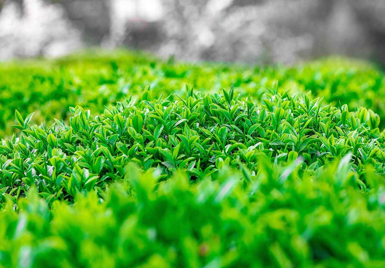 Elektrikli Bisiklet Yapımında Adımlar