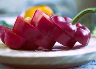 Elektrikli Bisiklet Alımı İçin Hangi Teşvikler Mevcut? Elektrikli Bisiklet Alımı İçin Hangi Teşvikler Mevcut?