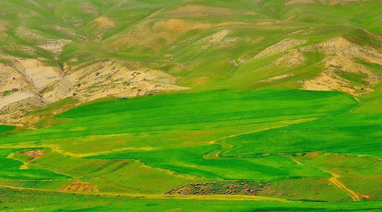 Elektrikli Bisikletin Faydaları