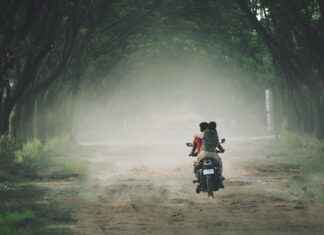 Elektrikli Bisiklet Fiyatları: Bütçeye Uygun Modeller Elektrikli Bisiklet Fiyatları: Bütçeye Uygun Modeller