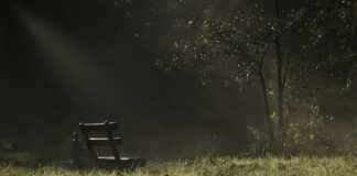 Elektrikli Bisiklet Hırsızlıklarına Karşı Güvenlik Önlemleri Elektrikli Bisiklet Hırsızlıklarına Karşı Güvenlik Önlemleri