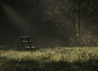 Elektrikli Bisiklet Hırsızlıklarına Karşı Güvenlik Önlemleri Elektrikli Bisiklet Hırsızlıklarına Karşı Güvenlik Önlemleri