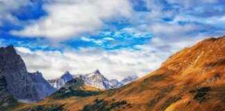 Elektrikli Bisiklet ile Yapılan Paralimpik Sporlara Giriş Elektrikli Bisiklet ile Yapılan Paralimpik Sporlara Giriş