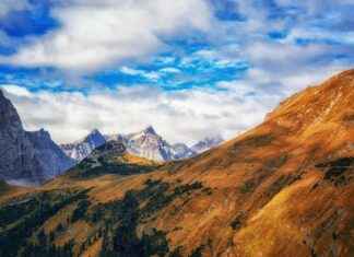 Elektrikli Bisiklet ile Yapılan Paralimpik Sporlara Giriş Elektrikli Bisiklet ile Yapılan Paralimpik Sporlara Giriş