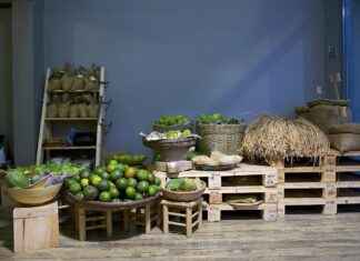 Elektrikli Bisiklet ile Yolculuk: Trafikte Yasal Haklar ve Sorumluluklar Elektrikli Bisiklet ile Yolculuk: Trafikte Yasal Haklar ve Sorumluluklar