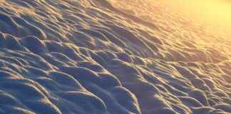 Elektrikli Bisiklet Kiralama Servisleri: Şehirlerdeki Popülerlik Elektrikli Bisiklet Kiralama Servisleri: Şehirlerdeki Popülerlik