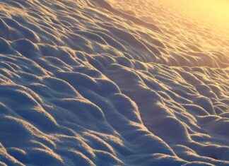 Elektrikli Bisiklet Kiralama Servisleri: Şehirlerdeki Popülerlik Elektrikli Bisiklet Kiralama Servisleri: Şehirlerdeki Popülerlik