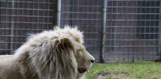 Elektrikli Bisiklet Kullanıcıları için Sağlıklı Yaşam İpuçları Elektrikli Bisiklet Kullanıcıları için Sağlıklı Yaşam İpuçları