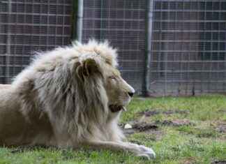 Elektrikli Bisiklet Kullanıcıları için Sağlıklı Yaşam İpuçları Elektrikli Bisiklet Kullanıcıları için Sağlıklı Yaşam İpuçları