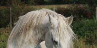 Elektrikli Bisiklet Mi, Elektrikli Araba mı? Çevresel Etkileri Karşılaştırın Elektrikli Bisiklet Mi, Elektrikli Araba mı? Çevresel Etkileri Karşılaştırın