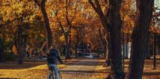 Elektrikli Bisiklet Modifiye Etmek: Nelere Dikkat Edilmeli? Elektrikli Bisiklet Modifiye Etmek: Nelere Dikkat Edilmeli?