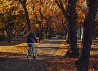 Elektrikli Bisiklet Modifiye Etmek: Nelere Dikkat Edilmeli? Elektrikli Bisiklet Modifiye Etmek: Nelere Dikkat Edilmeli?