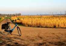 Elektrikli Bisiklet Satın Almadan Önce: Mesafe ve Ücret Açısından Nelere Dikkat Edilmeli? Elektrikli Bisiklet Satın Almadan Önce: Mesafe ve Ücret Açısından Nelere Dikkat Edilmeli?