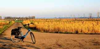 Elektrikli Bisiklet Satın Almadan Önce: Mesafe ve Ücret Açısından Nelere Dikkat Edilmeli? Elektrikli Bisiklet Satın Almadan Önce: Mesafe ve Ücret Açısından Nelere Dikkat Edilmeli?