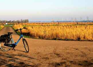 Elektrikli Bisiklet Satın Almadan Önce: Mesafe ve Ücret Açısından Nelere Dikkat Edilmeli? Elektrikli Bisiklet Satın Almadan Önce: Mesafe ve Ücret Açısından Nelere Dikkat Edilmeli?