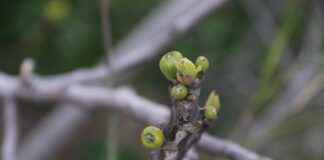 Elektrikli Bisiklet ve Çevre: Yeşil Ulaşımı Teşvik Etmek Elektrikli Bisiklet ve Çevre: Yeşil Ulaşımı Teşvik Etmek