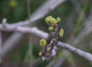 Elektrikli Bisiklet ve Çevre: Yeşil Ulaşımı Teşvik Etmek Elektrikli Bisiklet ve Çevre: Yeşil Ulaşımı Teşvik Etmek