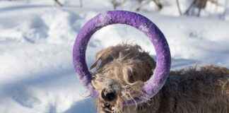 Elektrikli Bisiklet ve Dağ Bisikleti: Hangi Tercih Doğru? Elektrikli Bisiklet ve Dağ Bisikleti: Hangi Tercih Doğru?