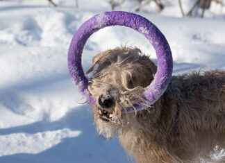 Elektrikli Bisiklet ve Dağ Bisikleti: Hangi Tercih Doğru? Elektrikli Bisiklet ve Dağ Bisikleti: Hangi Tercih Doğru?