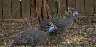Elektrikli Bisikletiniz İçin Olmazsa Olmaz Aksesuarlar: Sürüşü Yükseltin Elektrikli Bisikletiniz İçin Olmazsa Olmaz Aksesuarlar: Sürüşü Yükseltin