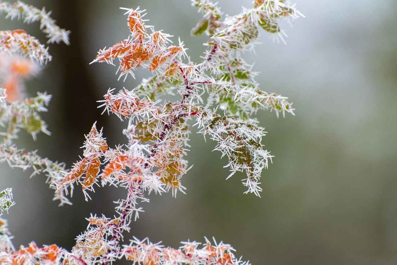 Elektrikli Bisikletle Kısa Mesafeli Hareketliliğin Avantajları 5 Sonuç: Elektrikli Bisikletin Geleceği
