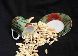 Elektrikli Bisikletle Spor Yapmak Mümkün mü? Elektrikli Bisikletle Spor Yapmak Mümkün mü?