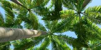 Elektrikli Bisikletler: Geleceğin Sürdürülebilir Ulaşım Aracı Elektrikli Bisikletler: Geleceğin Sürdürülebilir Ulaşım Aracı