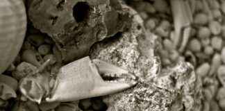 Elektrikli Bisikletler İçin En İyi Çamurluk Çözümleri: Temiz ve Kuru Sürüş Elektrikli Bisikletler İçin En İyi Çamurluk Çözümleri: Temiz ve Kuru Sürüş