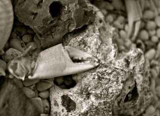 Elektrikli Bisikletler İçin En İyi Çamurluk Çözümleri: Temiz ve Kuru Sürüş Elektrikli Bisikletler İçin En İyi Çamurluk Çözümleri: Temiz ve Kuru Sürüş