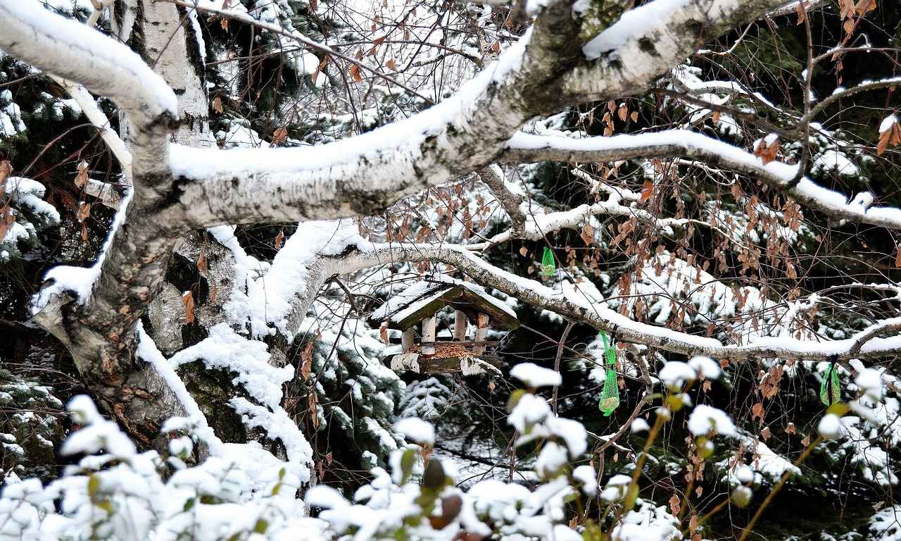 Elektrikli Bisikletler İçin Çamurluk Seçerken Dikkat Edilmesi Gerekenler