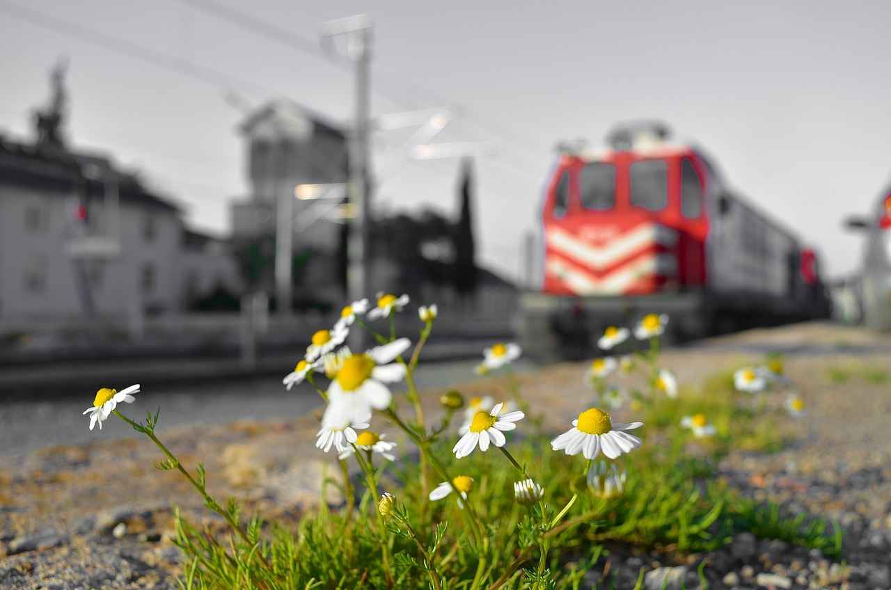 Elektrikli Bisikletler İçin Geceleri Güvenli Sürüş İpuçları 4 Yol Koşullarını Değerlendirmek