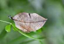 Elektrikli Bisikletler ile Fotoğrafçılık: Doğayı Keşfetmenin Yolları Elektrikli Bisikletler ile Fotoğrafçılık: Doğayı Keşfetmenin Yolları