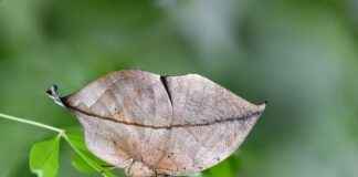 Elektrikli Bisikletler ile Fotoğrafçılık: Doğayı Keşfetmenin Yolları Elektrikli Bisikletler ile Fotoğrafçılık: Doğayı Keşfetmenin Yolları
