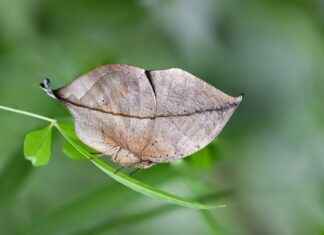 Elektrikli Bisikletler ile Fotoğrafçılık: Doğayı Keşfetmenin Yolları Elektrikli Bisikletler ile Fotoğrafçılık: Doğayı Keşfetmenin Yolları