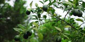 Elektrikli Bisikletler ve İklim Değişikliği: Nasıl Katkı Sağlıyor? Elektrikli Bisikletler ve İklim Değişikliği: Nasıl Katkı Sağlıyor?